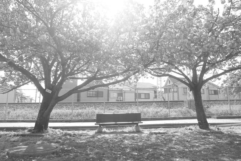 モノクロ普及委員会 写真展「モノクロームに起こされて」（大阪）開催のお知らせ